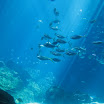 me and B trip to boston and ga aquarium 125.JPG