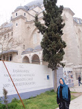 P4253696.JPG