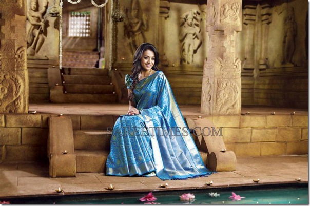 Trisha_Traditional_Saree (4)