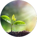 Rahulkumar Rathod profile picture