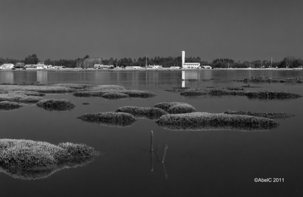 [AMC_4091bw%255B11%255D.jpg]