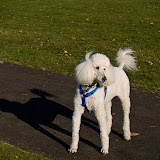 rocky-and-shade.jpg rocky-and-shade.jpg