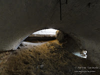 dsc06258.jpg