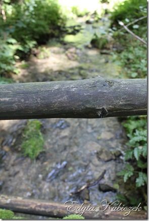 IMG_9325 IMG_9325