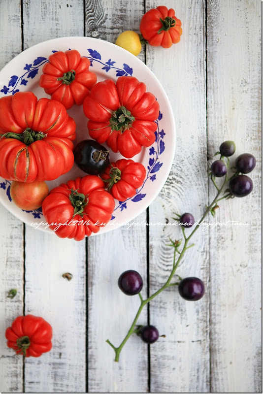 gęsta zupa pomidorowa - Pappa al pomodoro - Magdaleny de Blassi (10)