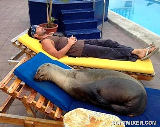 slide_266162_1811439_free slide_266162_1811439_free
