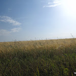 IMG_1702.JPG