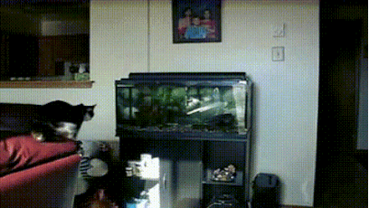 [e158e927335c4b1b52a644febe7f312e_5%5B3%5D.gif]