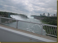 IMG_1439 IMG_1439