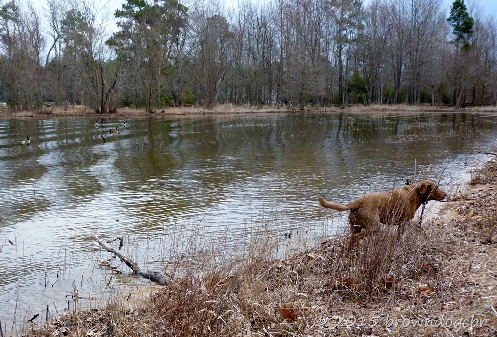 [P1490541%255B9%255D.jpg]