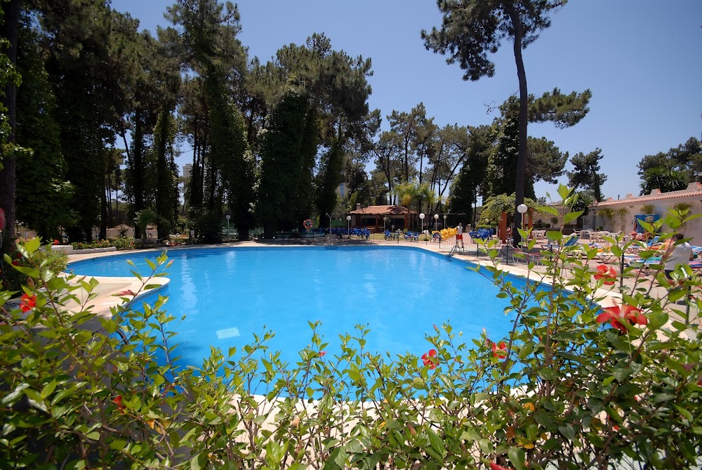 Hotel Las Chapas. Tu hotel en Marbella, Costa del Sol.