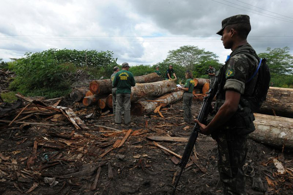 Brazilian soldiers encounter illegal logging in the Amazon. Brazil has launched a military campaign to evict illegal loggers working from the fringes of an indigenous reserve home to the Awá people, reports Survival International. Photo: Exército Brasileiro