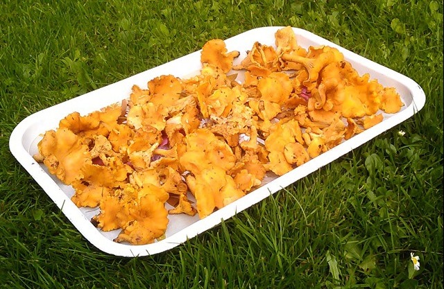 [10693759_1505283156378823_1720165976_n%255B5%255D.jpg]