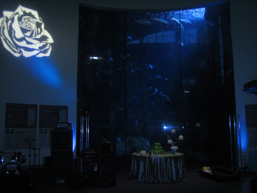 Gobo Light projection at Long Beach Aquarium for Wedding Reception