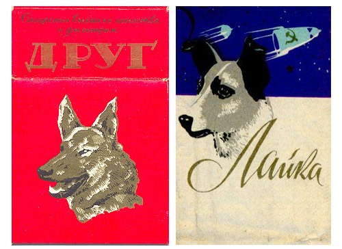 [clip_image0495.jpg]