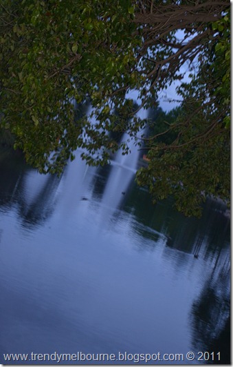 DSC_1042
