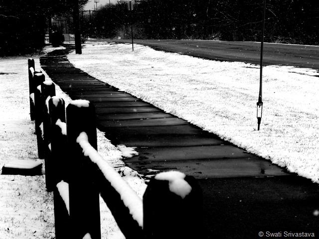 P1050707 P1050707