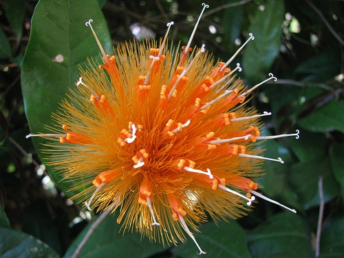 [image%255B40%255D.png]