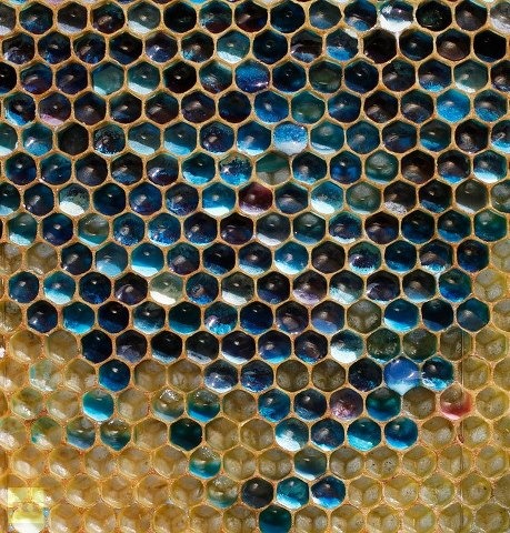 [a%2520french%2520bee%2520colony%255B2%255D.jpg]