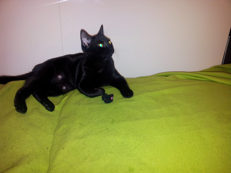 20111113_202512.jpg