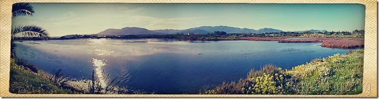 Foto 5 Foto 5