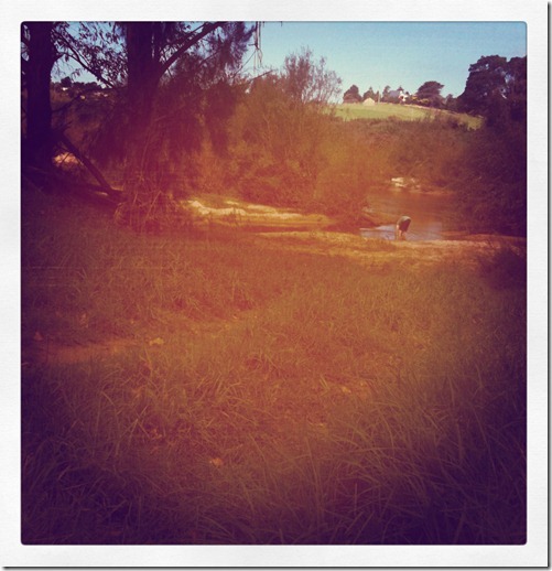 [march-2012-010_thumb12.jpg]