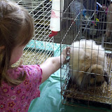 2011-07-16_13-12-49_343.jpg