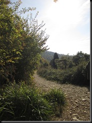 IMG_1220 IMG_1220