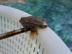 IMG_20120117_120742.jpg