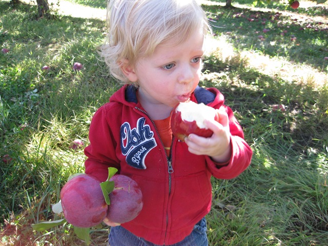 [IMG_7573%255B1%255D.jpg]