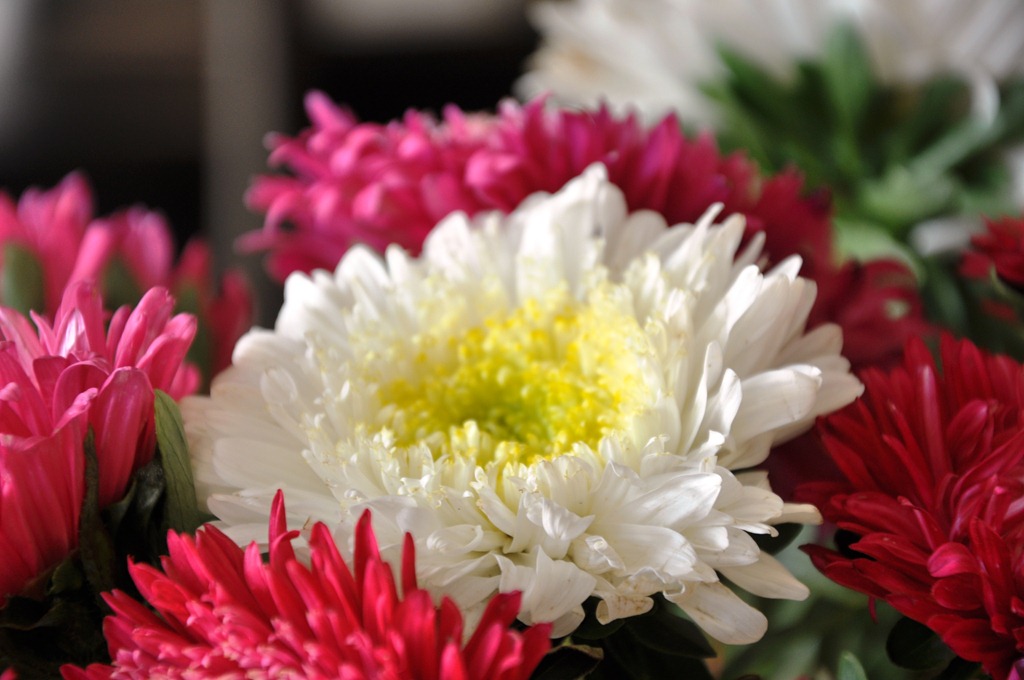 [DSC_1455%255B5%255D.jpg]