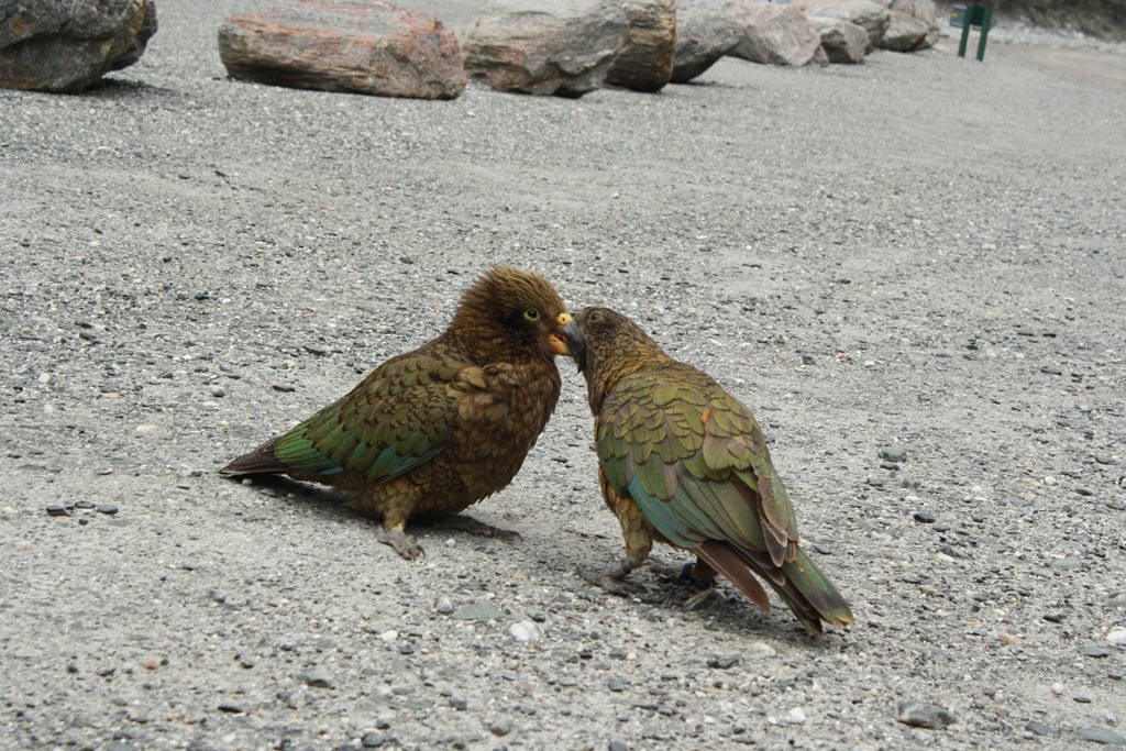 [IMG_96517.jpg]