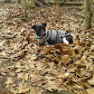 2013-03-30 14.04.38.jpg