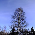 2011-snejinka-88.jpg