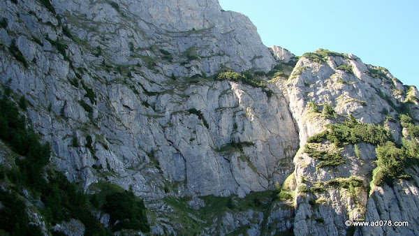 49.jpg 49.jpg