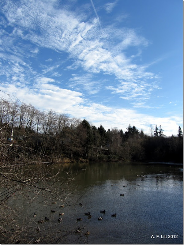 Binford Reservoir.  Photo of the Day, February 9, 2012.  Gresham, Oregon.  February 5, 2012.