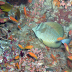 P4080030.JPG