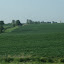 dscf5196.jpg