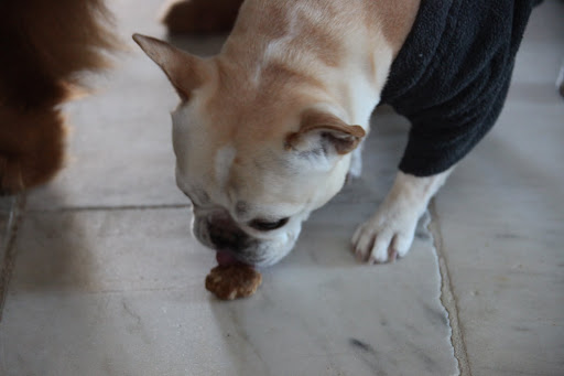 That's what this is - a yummy...oops - I mean crumby spot on the floor!