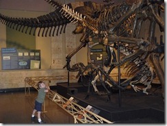 Kenosha Dinosaur Museum 011