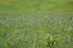 DSC03597.JPG