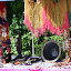 One of Many Roadside Stands - Savusavu, Fiji