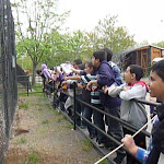 P1090660.JPG