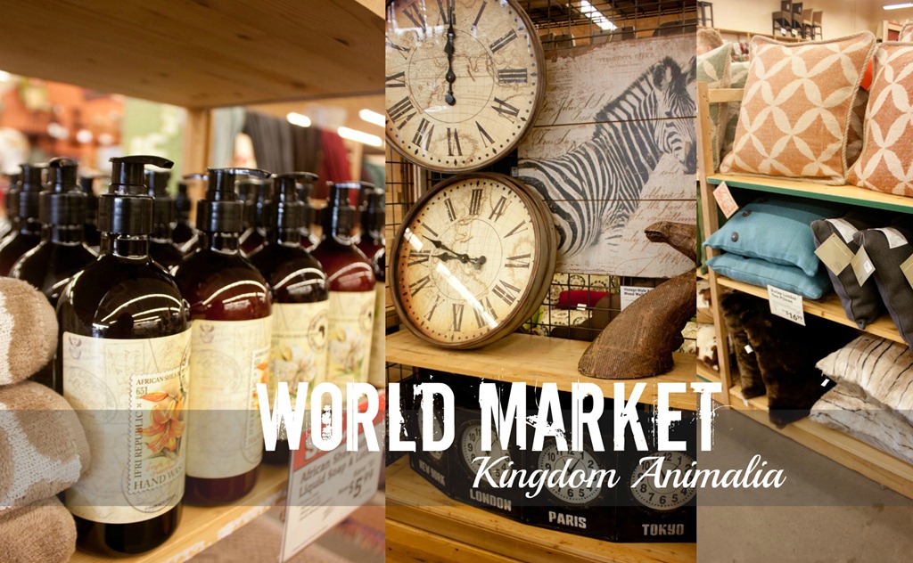 [World-Market-5.jpg]