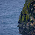 Face in the Rock - Cliffs of Moher Pgphoto