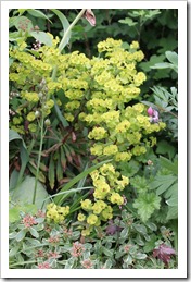 IMG_2823 IMG_2823
