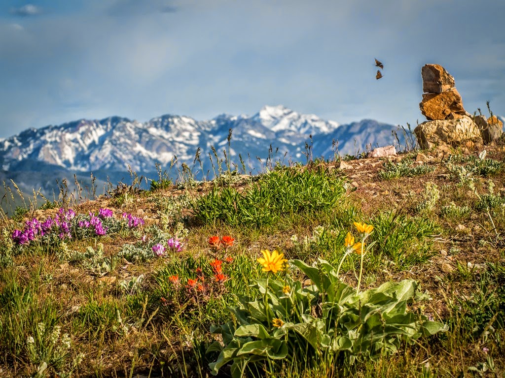 [20140520-0643%255B3%255D.jpg]