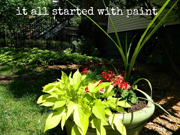 [potato_vine_and_geranium_in_container%255B5%255D.jpg]