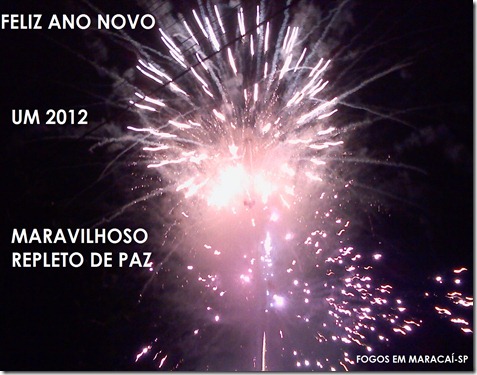 IMG_20120101_000032