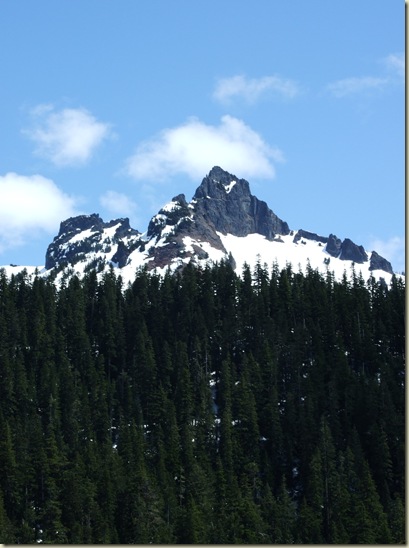 DSCF7228